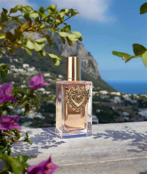 dolce gabbana devotion notino|devotion dolce gabbana katy perry.